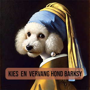 Meisje met de Parel